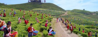 चलचित्रबाट पर्यटन प्रवद्र्धन