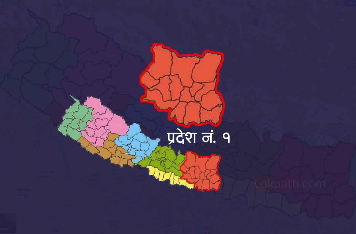 प्रदेश नं १ मा थप २२६ जना कोरोना सङ्क्रमित, १०२ निको भए