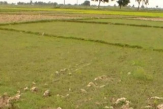 खेतीयोग्य जमिन सिँचाइबाट वञ्चित
