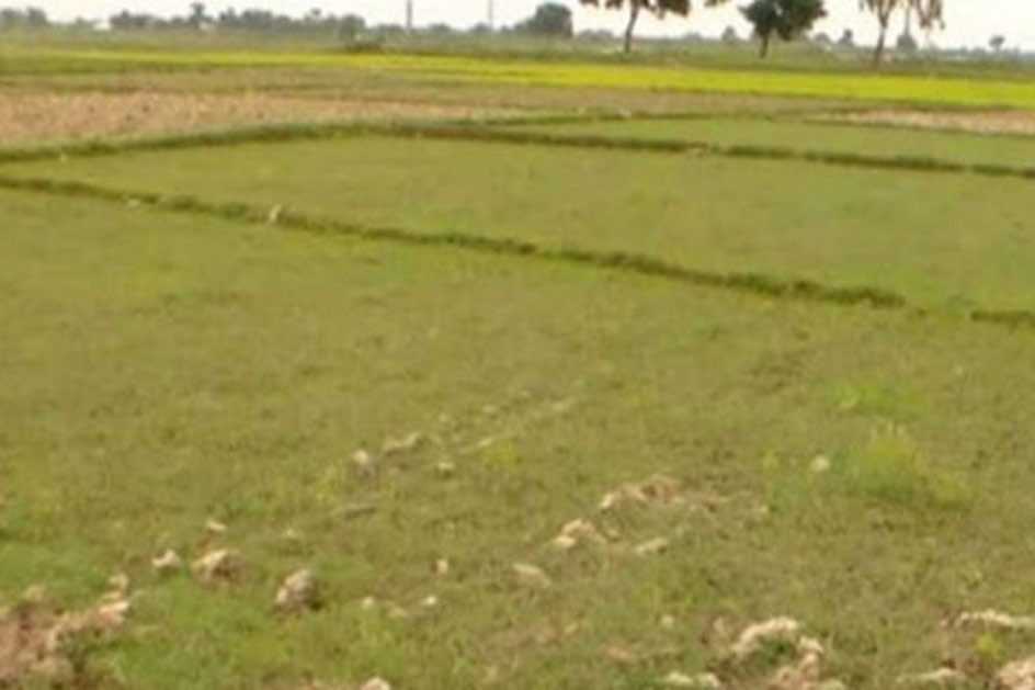 खेतीयोग्य जमिन सिँचाइबाट वञ्चित