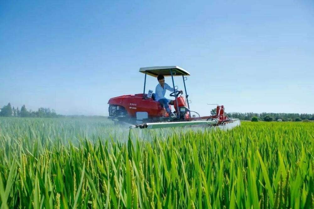 China agriculture.jpg