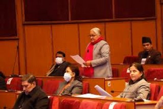 सभासमक्ष दिगो विकास समितिको  प्रतिवेदन पेश