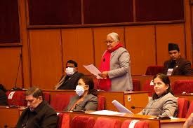 सभासमक्ष दिगो विकास समितिको  प्रतिवेदन पेश