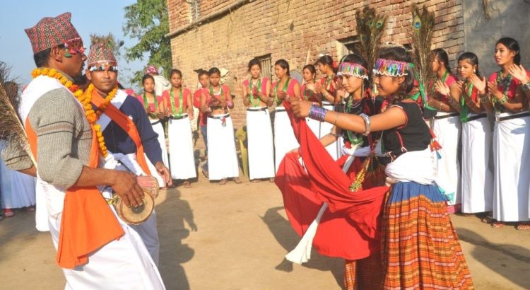 थारु जातीको महान पर्व "माघी" हर्सोल्लाससाथ मनाइँदै 