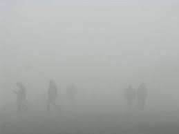 प्रदेश नं २ समाचार : चिसोबाट चारको मृत्यु
