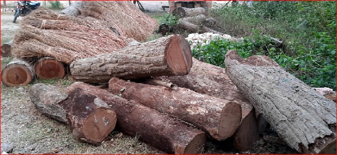 वन समूहले बाँड्न सकेनन् चिसोमा काठ दाउरा