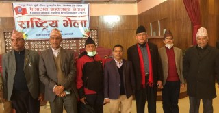 पेशागत महासङ्घमा थापा