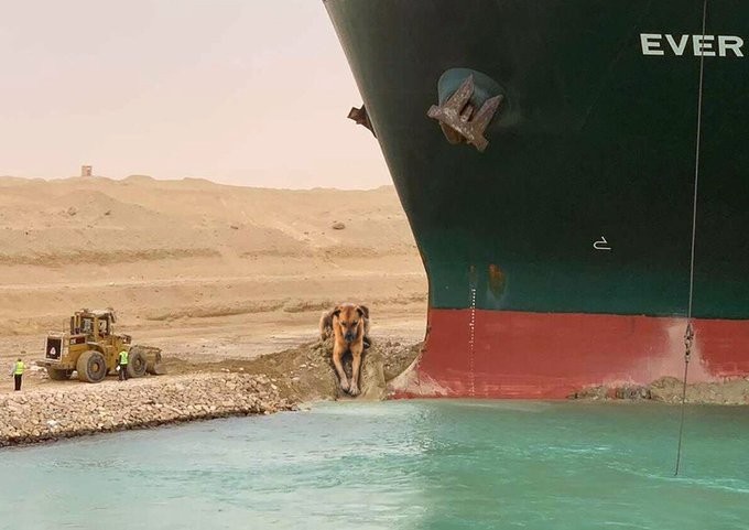 Dozer in sea 1.jpg