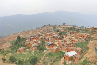 कृषकमैत्री यस्ता छन् योजना ठुलिभेरीका : एक घर एक बगैँचा