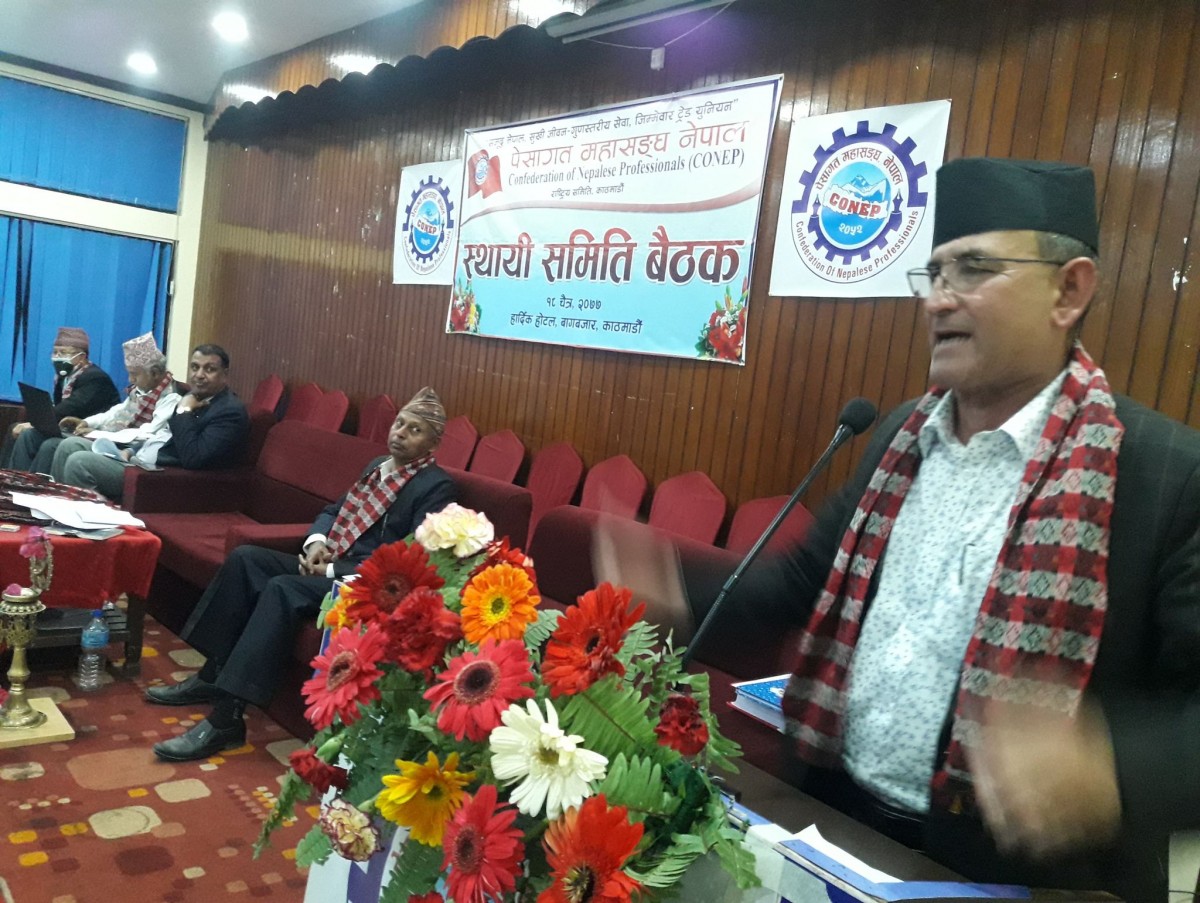 पेशागत महासंघद्धारा काठमाडौं घोषणापत्र २०७७ जारी 