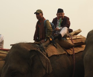 नेपालमा गैँडाको सङ्ख्या बढेपछि मन्त्री आले खुशी
