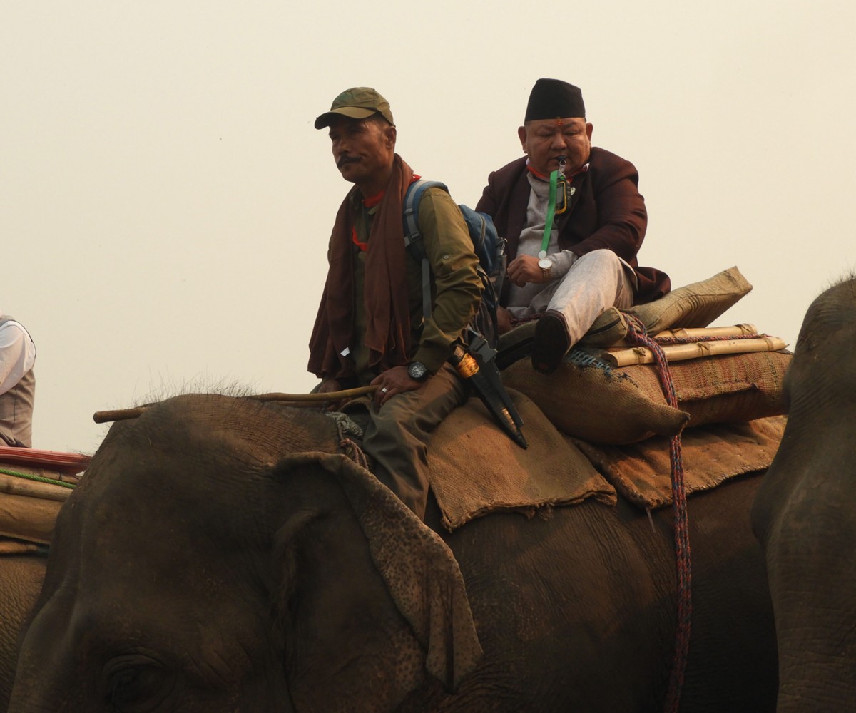 नेपालमा गैँडाको सङ्ख्या बढेपछि मन्त्री आले खुशी