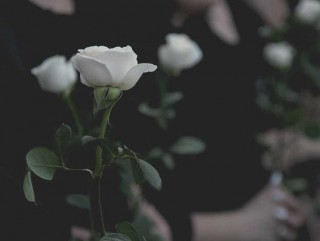 ज्वरोपछि होस्टलमै विद्यार्थीको मृत्यु