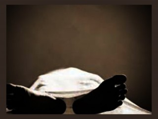 पत्रकार मेहताको निधन