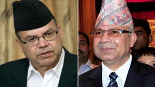 नेता नेपाल-खनाल सहित ११ निवर्तमान सांसद एमालेबाट निष्काशित