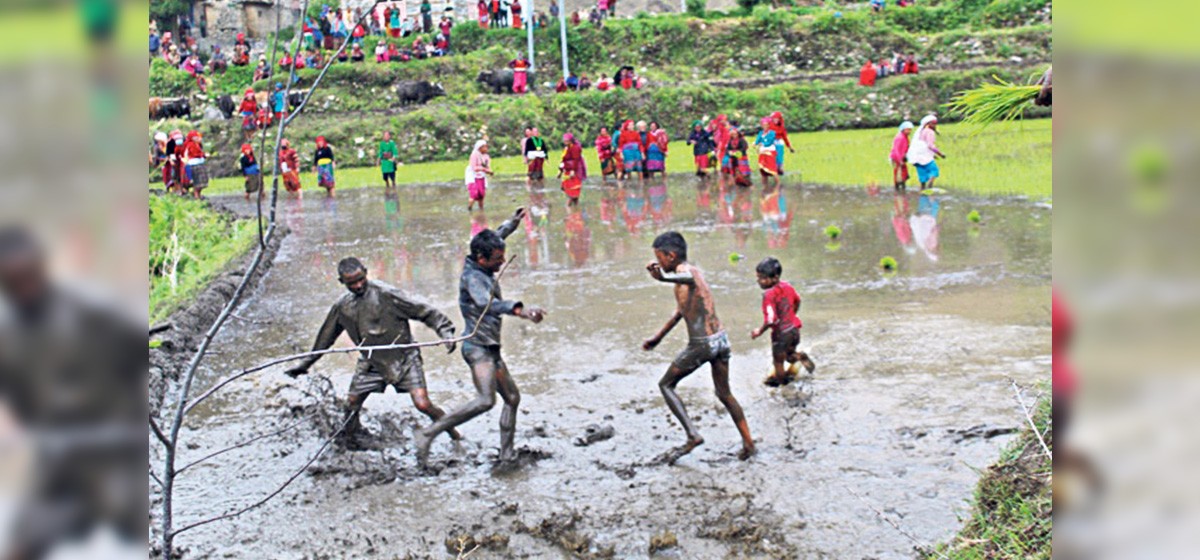 डोल्पा, कोटसेराको रोपाइँ मेलाः विरोधपछि दलितको काँध चढ्ने परम्परा अन्त्य