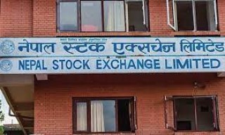 नेप्सेमा सामान्य करेक्सन, गोर्खाज फाइनान्सले नविललाई उछिन्यो 