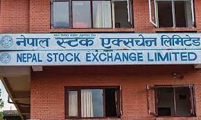 नेप्सेमा सामान्य करेक्सन, गोर्खाज फाइनान्सले नविललाई उछिन्यो 