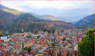 घाँसदेखि राँगोसम्म अनुदानमा