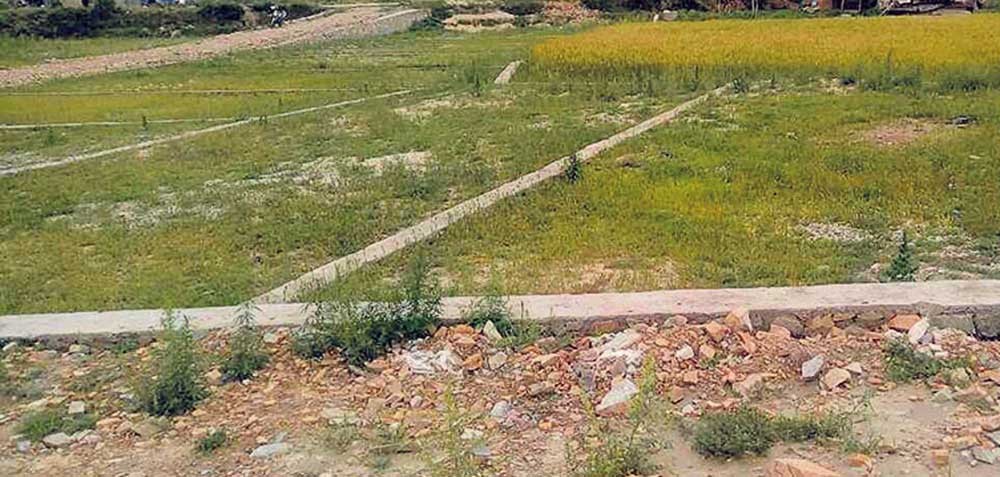 विद्यालय निर्माणका लागि २० कठ्ठा जग्गा दान