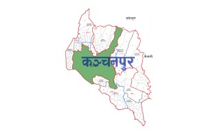 कञ्चनपुरका स्थानीय तहः  ‘एकल पुरुषलाई भत्तादेखि प्राविधिक शिक्षाका लागि छात्रवृत्ति’