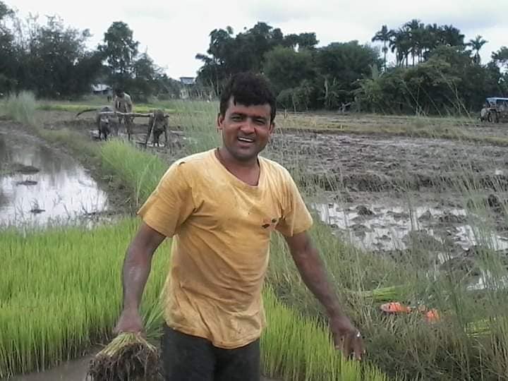 देशभर २७ प्रतिशत धान रोपाइँ