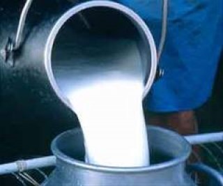 दूध बेचेर वार्षिक रु डेढ करोड आम्दानी
