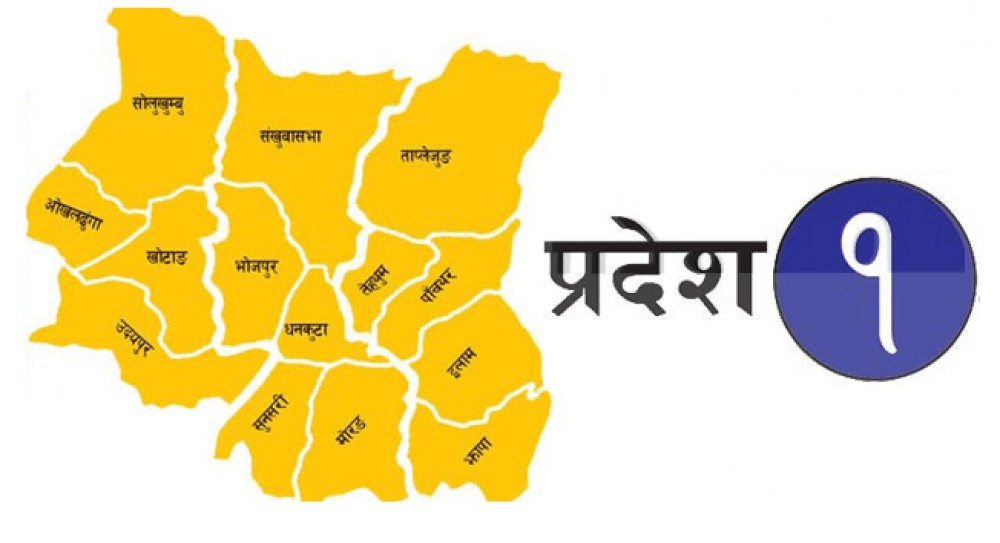 प्रदेश नं १ : कोरोनाबाट मृत्यु एवं उपचार गराएका पत्रकारलाई सहयोग
