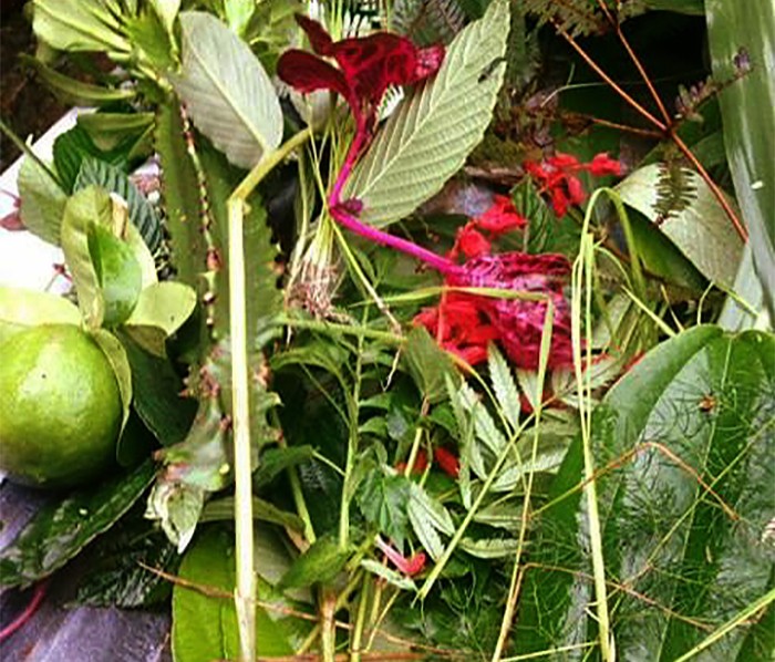 मनाइयो साउने सङ्क्रान्ति