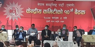 शक्ति पृथकीकरण, नियन्त्रण र सन्तुलनको सिद्धान्तमा असर परेको एमालेको विश्लेषण