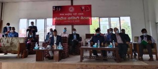 अब एमालेमा प्यानल बनाउन नपाइने