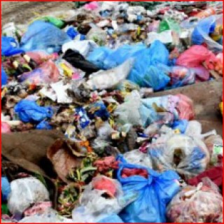 उठ्न थाल्यो बनेपाको फोहर