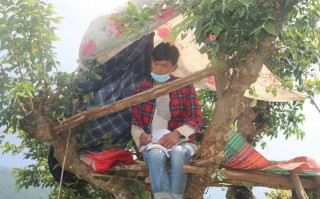 रुखमाथि डेरा बनाएर अनलाइन शिक्षा