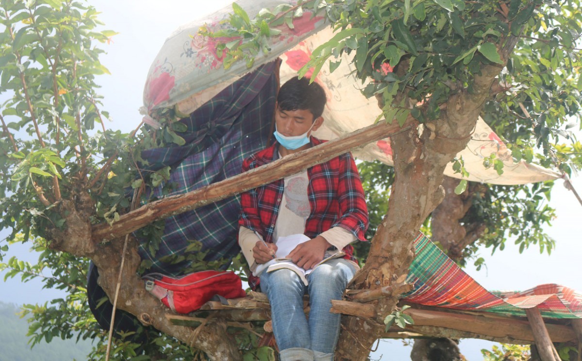 रुखमाथि डेरा बनाएर अनलाइन शिक्षा