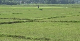 रु एक करोड ५० लाख जग्गा आँखा उपचार केन्द्रलाई दान