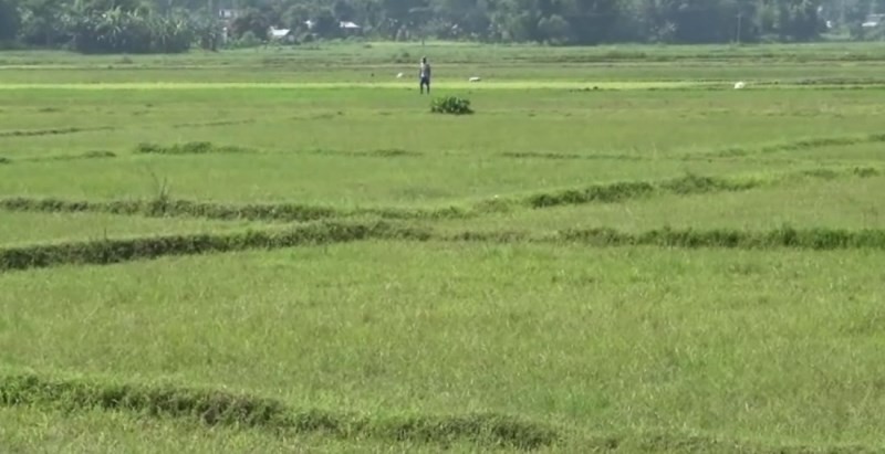 रु एक करोड ५० लाख जग्गा आँखा उपचार केन्द्रलाई दान