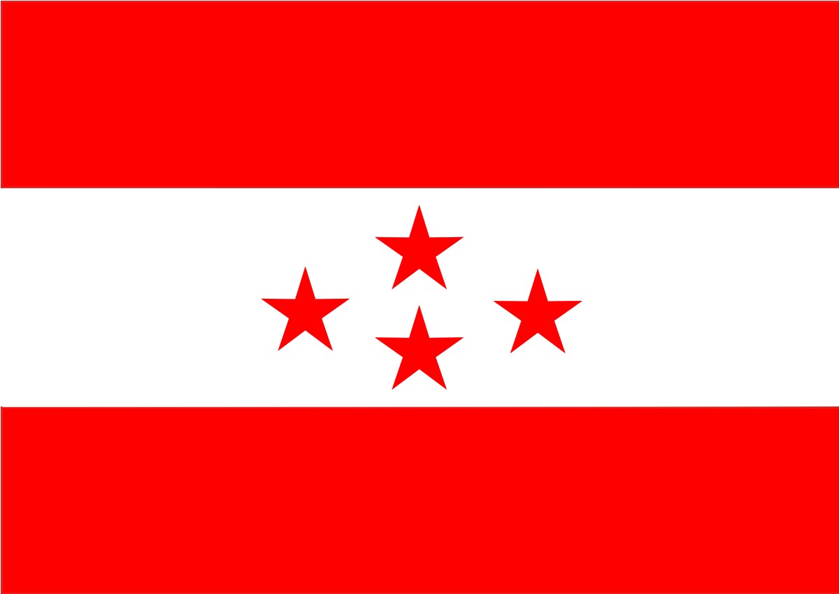 काठमाडौं सहित सात जिल्लामा काँग्रेसको वडा अधिवेशन हुँदै
