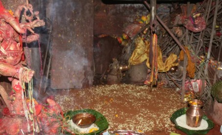 गोरखा दरबारको दसैँघरमा विधिपूर्वक राखियो जमरा
