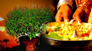 कार्तिक स्नान, आकाशदीप दान, तुलसीको विशेष पूजा