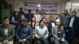 पेशागत विशेष जिल्ला कमिटीबाट छानिए १० महाधिवेशन प्रतिनिधि, प्रदेशबाट छानिए पाँच