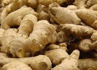 रोल्पामा विद्यालय चलाउन अदुवाखेती