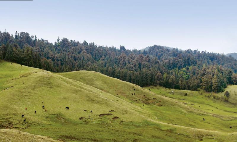 हिमपात भएपछि खप्तड आउने पर्यटकको सङ्ख्या ह्वातै बढ्यो