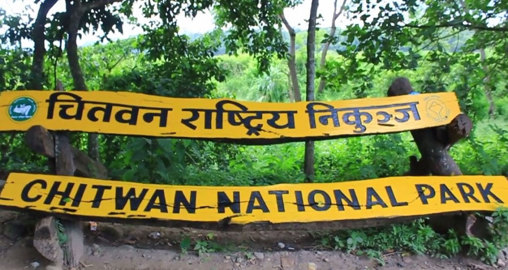 सडकको लापरबाहीले गैँडा मर्यो