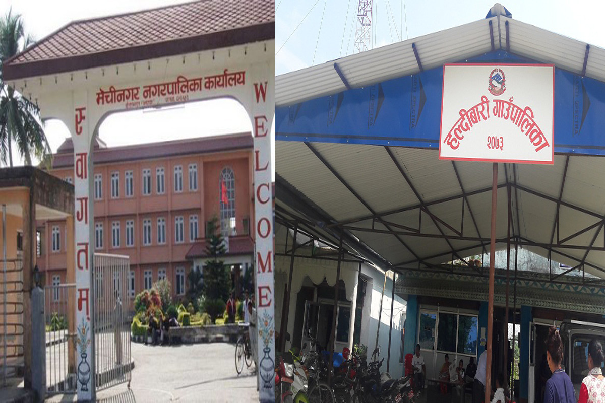 झापाको मेचीनगरमा सबैभन्दा धेरै र हल्दिबारीमा सबैभन्दा थोरै जनसङ्ख्या
