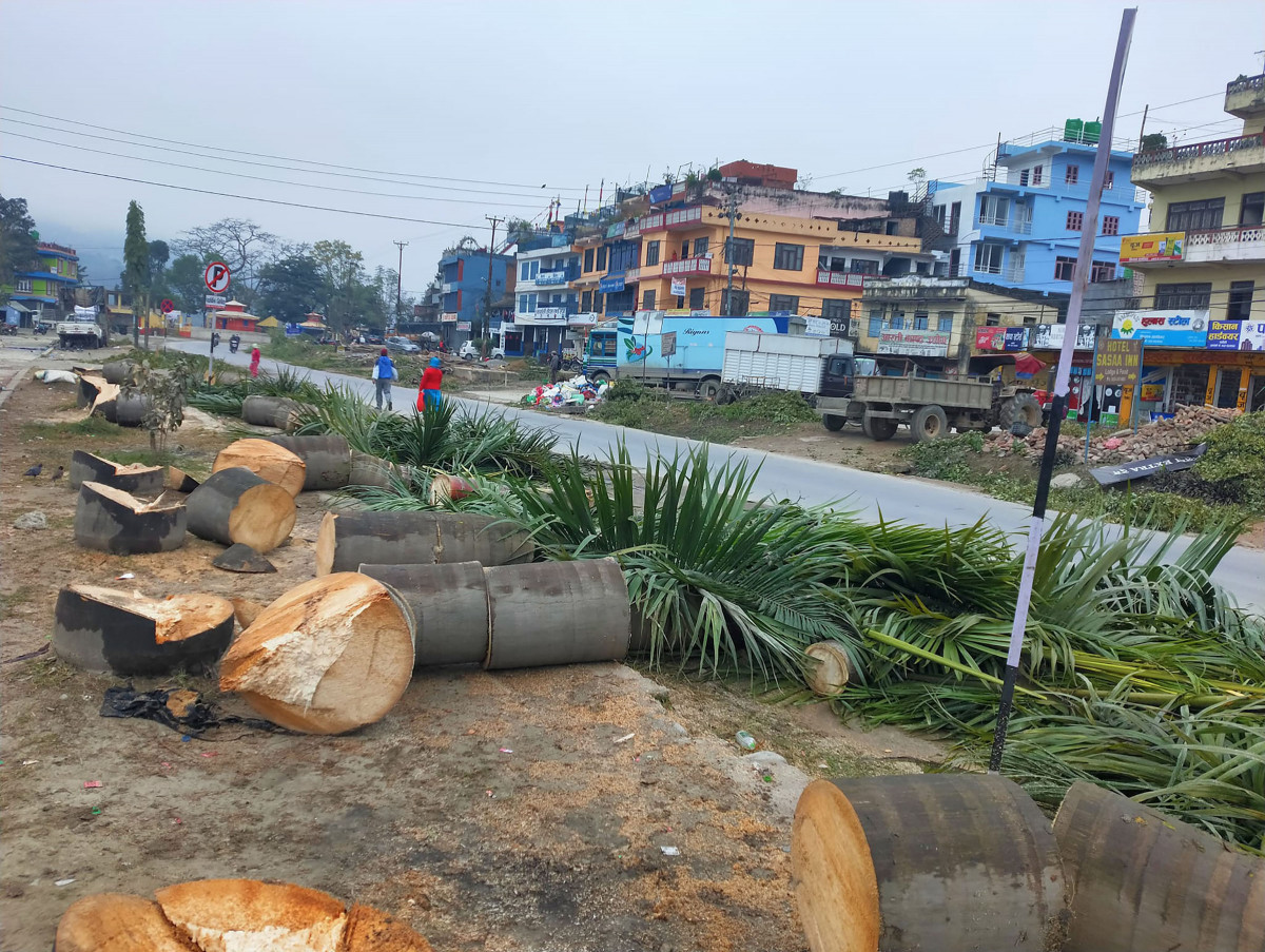 मुग्लिङ पोखरा सडक विस्तार: तनहुँ खण्डमा धमाधम रुख कटान