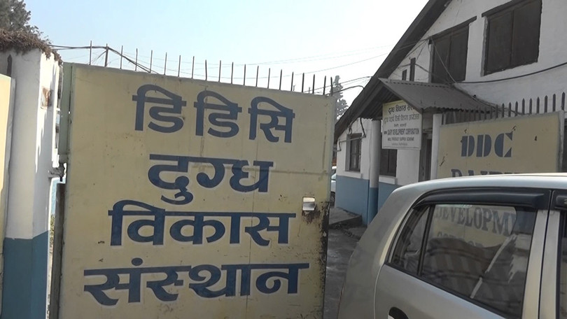 दुग्ध विकास संस्थानको महाप्रवन्धक पदमा दरखास्त आह्वान