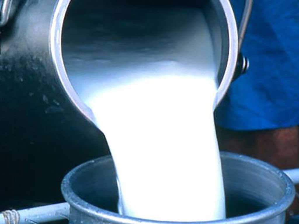 निजी क्षेत्रले आफुखुशीमै प्रतिलिटर दूधमा १० रुपैयाँ बढाउने