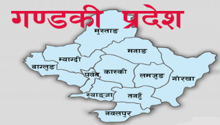गण्डकीका महिलालाई क्यान्सर उपचारमा ५० प्रतिशत सहुलियत