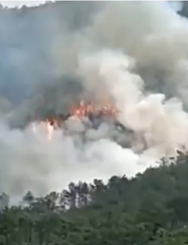 चीनमा १३३ जना यात्रु बोकेको विमान दुर्घटनाः मृतकको संख्या अज्ञात