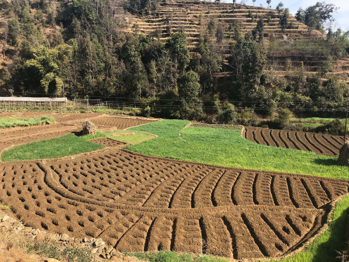 कृषिमा लगानी वृद्धि गर्न माग